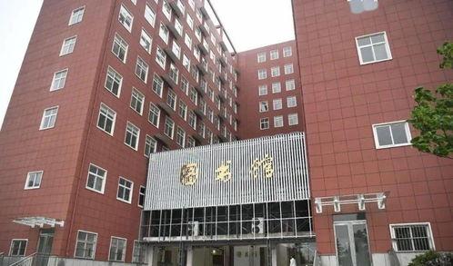 合肥网吧今日头条招聘,今日头条助力网吧人才招募