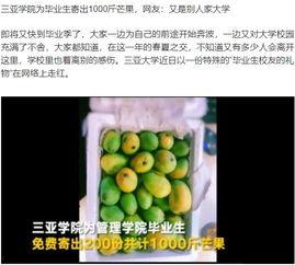 海南大学吃瓜视频,揭秘校园生活趣味瞬间