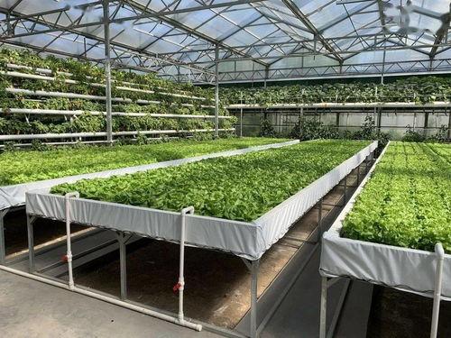 带你吃瓜奇葩井盖装修,带你探访那些“吃瓜”井盖的创意装修之旅