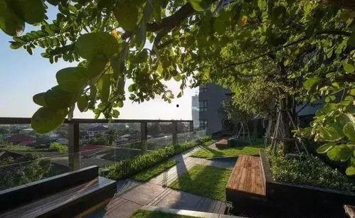 网红农场木头景观设计,自然与艺术的完美融合