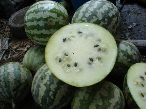 于瓜都怎样吃,从传统到创新