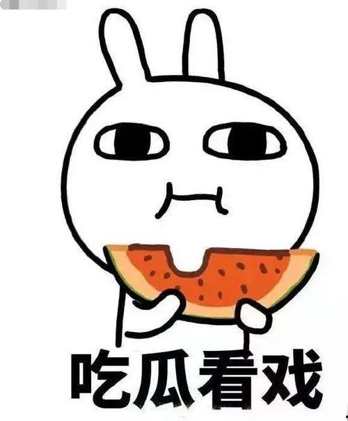 吃瓜大白完结,揭秘娱乐圈背后的真相与温情