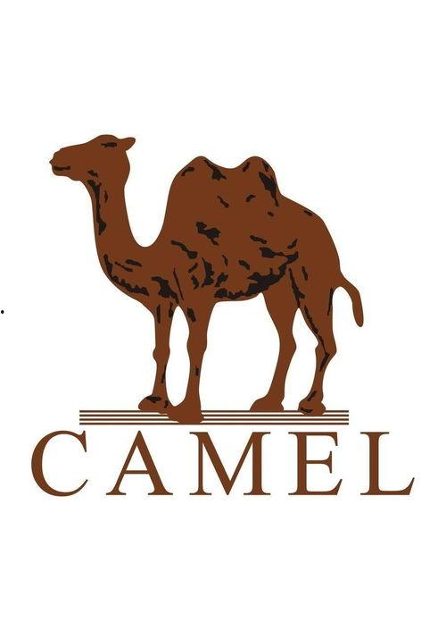 网红骆驼人偶服装图片,网红潮流新宠，萌态可掬吸睛无数