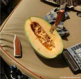 吃瓜ak,一场网络热点的狂欢与反思