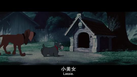 动画村电影在线观看,奇幻冒险之旅，在线观看开启奇幻之门