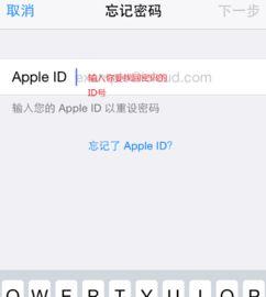 北方汉子头条账号密码,密码背后的故事