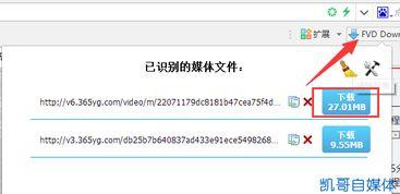 今日的头条怎么搜索视频,[视频标题关键词]，带你一探究竟