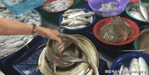 水产老板吃瓜,一场意外的行业风云